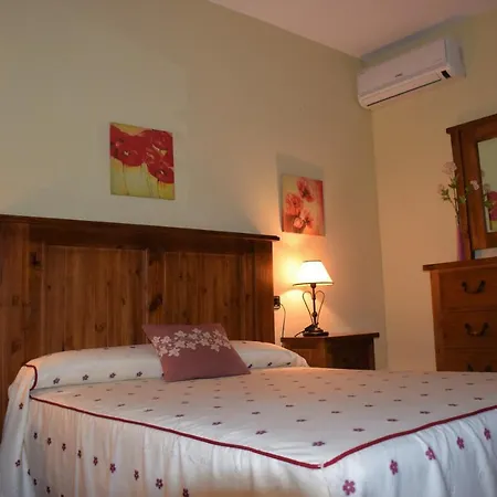 Palmeras Tobarra