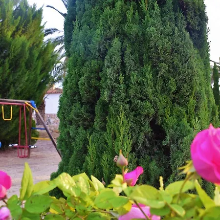 Сasa de vacaciones Palmeras